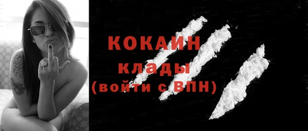 apvp Михайлов