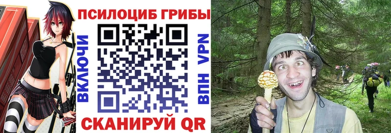 Псилоцибиновые грибы GOLDEN TEACHER  Братск 